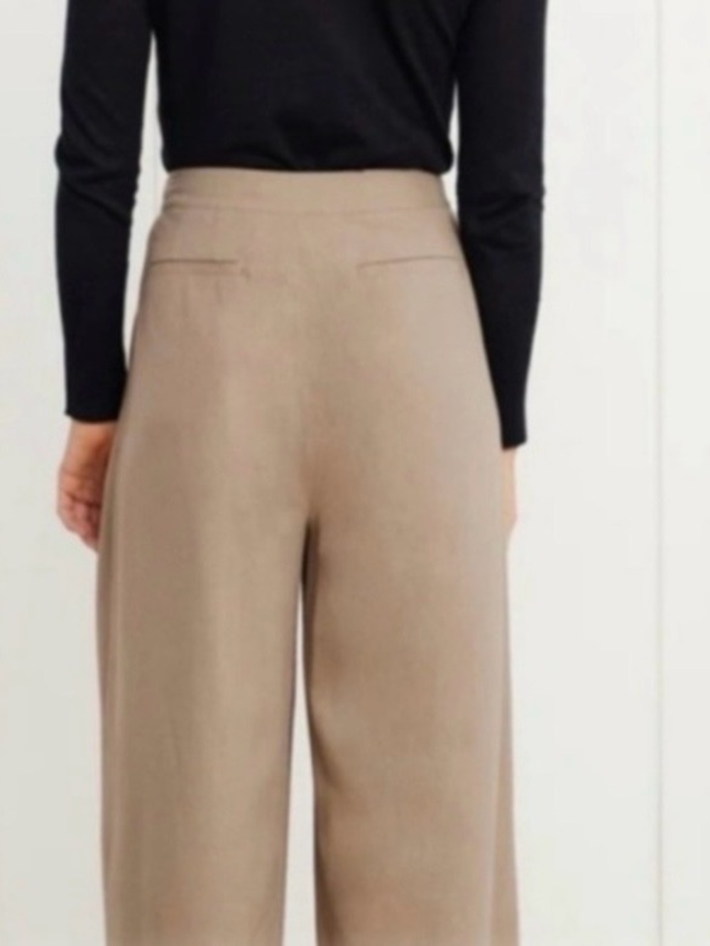 Jenni Kayne raw silk wide leg pants - Picture 4 of 15